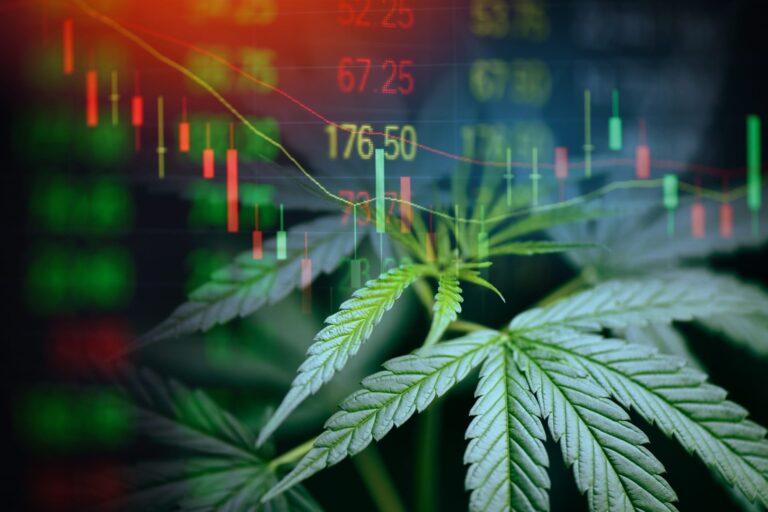 Rapport om den amerikanska cannabismarknaden skapar optimism bland investerare