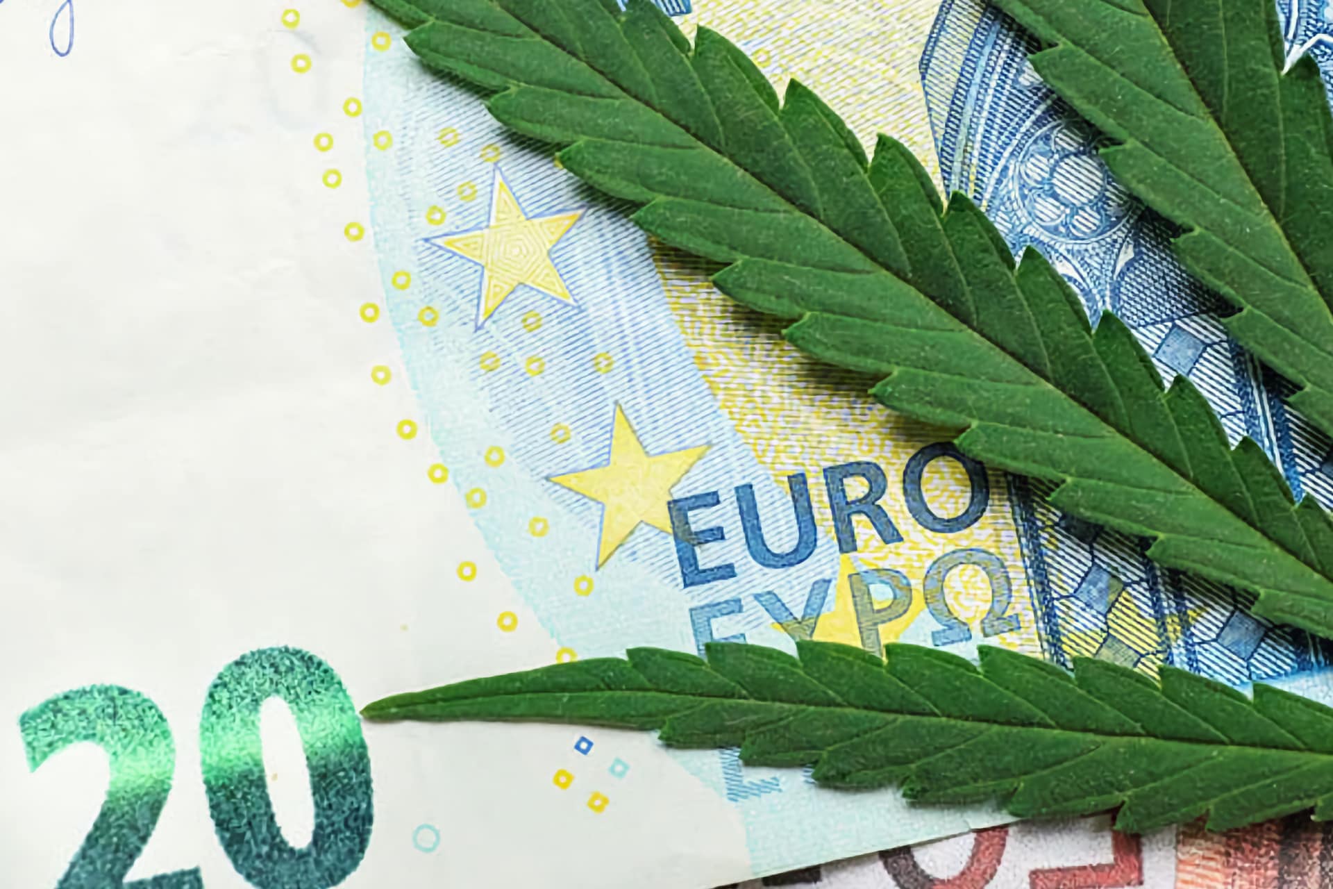 Cannabis leaves overlaid on euro banknote